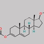 Testosterone Dipropionate CAS#: 42257-18-1
