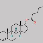 Testosterone Enantate EP Impurity E CAS#: 219296-36-3