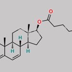 Testosterone Enantate EP Impurity F CAS#: N/A