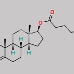 Testosterone Enanthate CAS#: 315-37-7