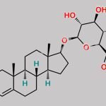 Testosterone Glucuronide CAS#: 1180-25-2