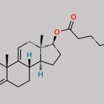 Testosterone Impurity G CAS#: 119698-27-0
