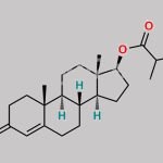 Testosterone Propionate EP Impurity B CAS#: 1169-49-9
