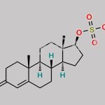 Testosterone Sulfate CAS#: 651-45-6