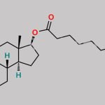 Testosterone Undecanoate CAS#: 5949-44-0