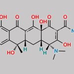 Tetracycline EP Impurity A CAS#: 79-85-6