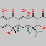 Tetracycline EP Impurity B CAS#: 6542-44-5
