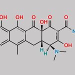 Tetracycline EP Impurity C CAS#: 1665-56-1