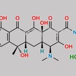Tetracycline Hydrochloride CAS#: 64-75-5