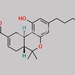 Tetrahydrocannabinol-7-oic Acid CAS#: 39690-06-7