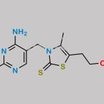 Thiamine EP Impurity E CAS#: 299-35-4