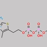Thiamine Impurity 16 CAS#: 745719-69-1