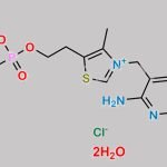 Thiamine Monophosphate Chloride Dihydrate CAS#: 273724-21-3
