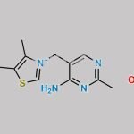 Thiamine Nitrate CAS#: 532-43-4
