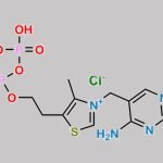 Thiamine Pyrophosphate CAS#: 154-87-0