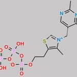 Thiamine Triphosphate CAS#: 3475-65-8