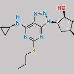 Ticagrelor (1R,2R,3R,5S) Isomer CAS#: 2435586-25-5