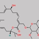 Tiacumicin C CAS#: 106008-70-2