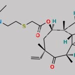 Tiamulin  EP Impurity F CAS#: N/A