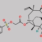 Tiamulin  EP Impurity P CAS#: N/A