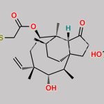 Tiamulin Fumarate CAS#: 55297-96-6