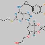 Ticagrelor Acetyl Impurity CAS#: N/A