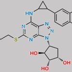 Ticagrelor Desethoxy Impurity CAS#: N/A