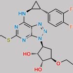 Ticagrelor Enantiomer impurity CAS#: 2096989-55-6