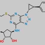 Ticagrelor EP Impurity B CAS#: 1788033-05-5