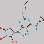 Ticagrelor EP Impurity C CAS#: 1616703-93-5