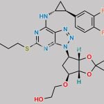 Ticagrelor EP Impurity D CAS#: 274693-26-4