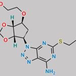 Ticagrelor Impurity 104 CAS#: 1858267-99-8