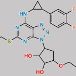 Ticagrelor Impurity 117 CAS#: 1427324-45-5
