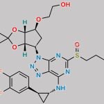 Ticagrelor Impurity 13 CAS#: 1863036-49-0