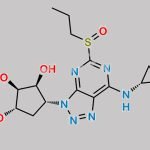 Ticagrelor Impurity 131 CAS#: 1511636-19-3