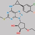Ticagrelor Impurity 15 CAS#: N/A
