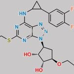 Ticagrelor Impurity 64 CAS#: N/A