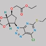 Ticagrelor Impurity 75 CAS#: 1402150-01-9