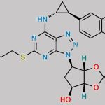 Ticagrelor Impurity 76 CAS#: 274693-49-1
