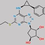 Ticagrelor Impurity 77 CAS#: 2245167-79-5