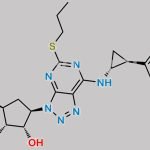 Ticagrelor Impurity 8 CAS#: 1402150-10-0