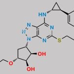 Ticagrelor Impurity B CAS#: 2216753-87-4