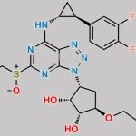 Ticagrelor Impurity D CAS#: N/A