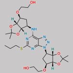 Ticagrelor Impurity Q CAS#: 2205903-74-6