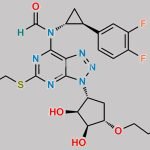Ticagrelor N-Formyl Impurity CAS#: N/A