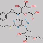 Ticagrelor N-Glucuronide CAS#: N/A