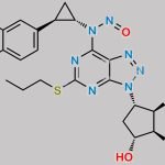 Ticagrelor Nitroso Impurity 10 CAS#: N/A