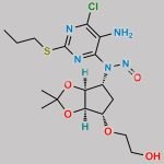 Ticagrelor Nitroso Impurity 13 CAS#: N/A