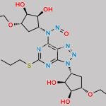 Ticagrelor Nitroso Impurity 15 CAS#: N/A