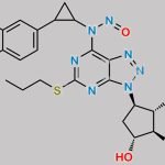 Ticagrelor Nitroso Impurity 16 CAS#: N/A